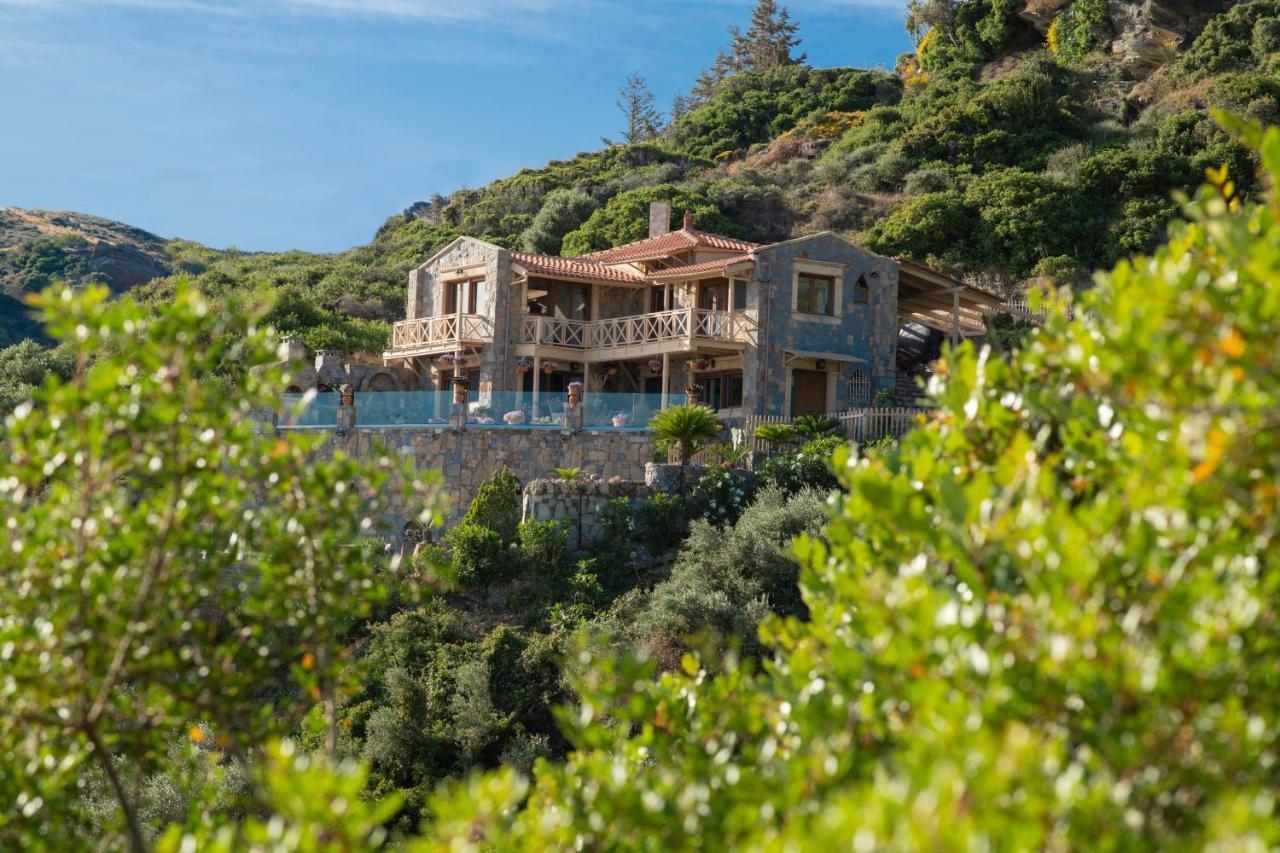 Felini Palace Agia Pelagia Exteriér fotografie